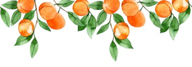 suluboya desen, şeftali, kayısı ve yapraklardan oluşan dikişsiz meyve sınırı..