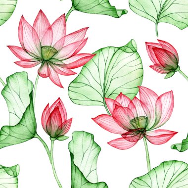 Suluboya çizimi, şeffaf nilüfer çiçeklerinin kusursuz deseni. Nilüfer çiçeği ve yaprak izi