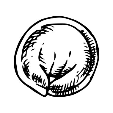 Hamur köftesi, çizim tarzında çizim. Donmuş uygun yiyecek