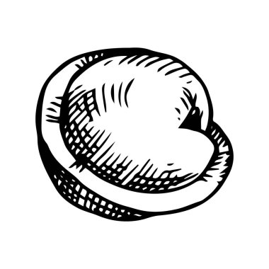 Hamur köftesi, çizim tarzında çizim. Donmuş uygun yiyecek