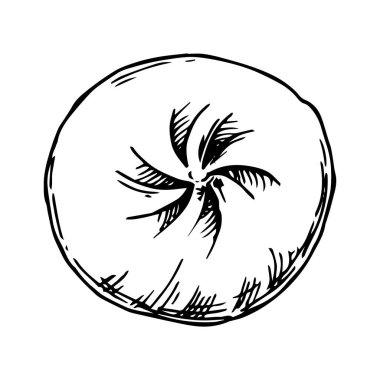 Asyalı hamur köftesi, çizim tarzında illüstrasyon. Donmuş uygun yiyecek