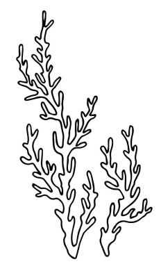 Deniz yosunu, yosun. Robot resim biçiminde vektör illüstrasyonu