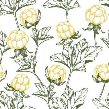 Böğürtlenli kusursuz desen. taslak biçiminde vektör baskısı