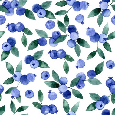 Yaban mersinli suluboya desen. Basit bir resim, yabanmersini yaprakları ve meyveler.