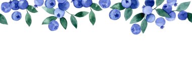 Yaban mersiniyle dikişsiz suluboya sınır. Basit bir resim, yabanmersini yaprakları ve meyveler.