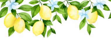 suluboya dikişsiz sınır, limon ağacı dalları. Basit biçimlerde resimleme