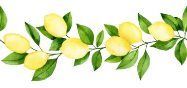 suluboya dikişsiz sınır, limon ağacı dalları. Basit biçimlerde resimleme