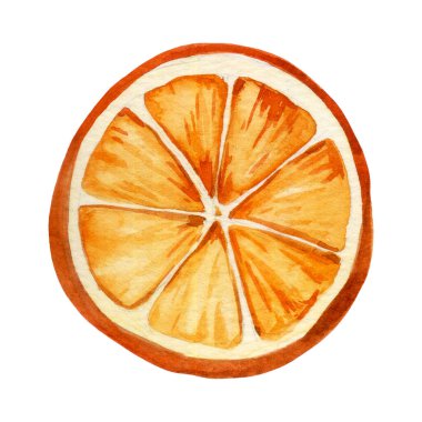 Suluboya resim, kurutulmuş portakal dilimi. clipart