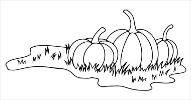 Coloring. Lawn with pumpkins. Vector drawing for Thanksgiving, autumn harvest festival. Drawing in doodle style. clipart