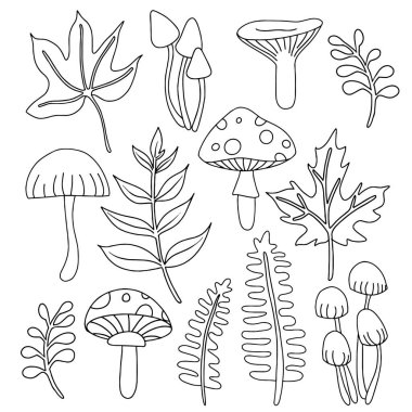 Boyama kitabı. Güzel sonbahar yaprakları ve mantarlar. Çizim biçimi