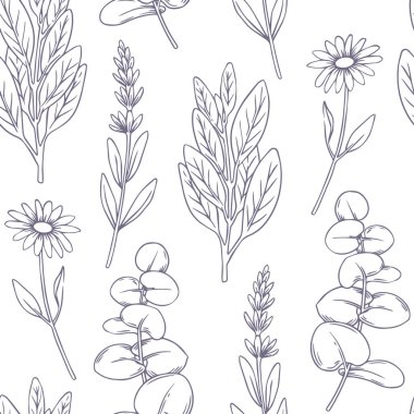 Şifalı otlar, papatya çayı, lavanta, adaçayı, okaliptüs. Robot resim biçiminde vektör illüstrasyonu.