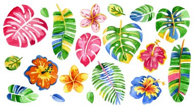 Renkli, parlak çiçekler ve tropikal yapraklar. soyutlama, saykodelik.