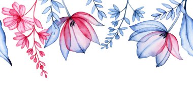 Şeffaf lalelerin, kır çiçeklerinin ve röntgenlerin dikişsiz sınırı. Zarif pembe ve mavi çerçeve