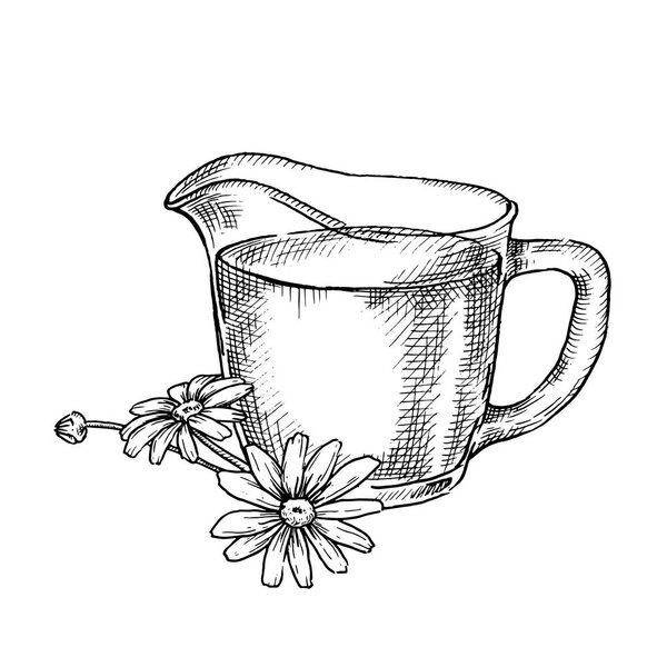 glass jug with milk. Vector illustration in sketch style. farm products, vintage