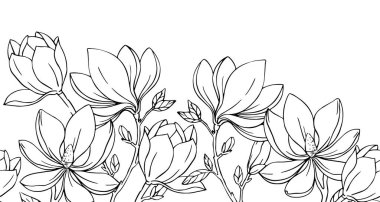 Manolya çiçekleriyle kusursuz bir sınır. Çizim tarzında vektör illüstrasyonu. boyama kitabı