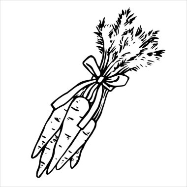 Karalama tarzında Paskalya illüstrasyonu. Bir buket havuç. Eskiz