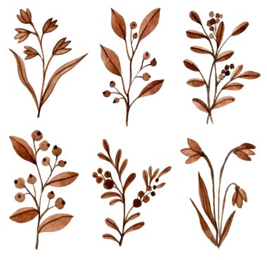 Kahverengi yabani çiçekler ve dallarla suluboya seti