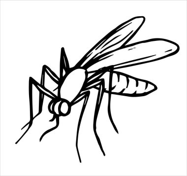 Böcek sineği. Çizim biçimi parazitinde vektör illüstrasyonu