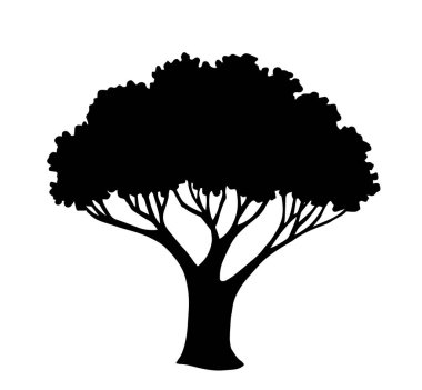 Ağaç silueti. siyah ve beyaz vektör çizimi