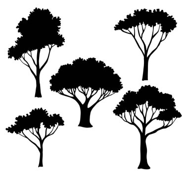 Ağaçların silueti. siyah ve beyaz vektör çizimi