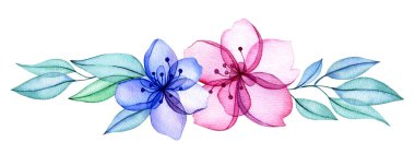 Dekorasyon, suluboya şeffaf çiçeklerden yapılmış metin ayırıcı. Soyut çiçekler ve ince pembe ve mavi yapraklar.