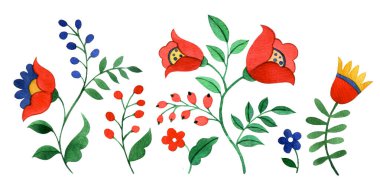 Soyut fantezi çiçekleri, halk tarzında böğürtlen ve yapraklar. suluboya resimleme