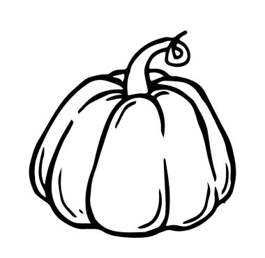 Balkabağım. Basit vektör çizimi