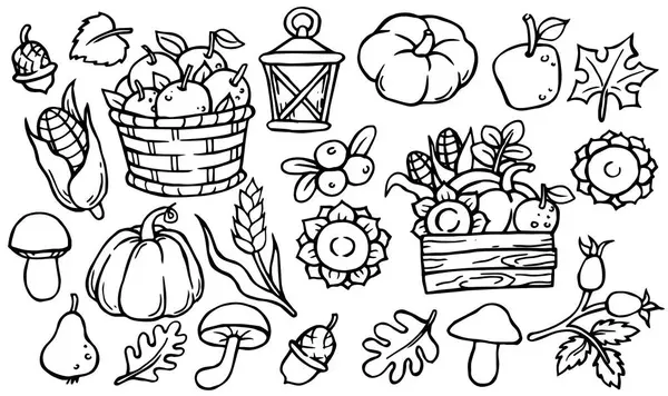 Hasat teması üzerine karalama tarzında basit vektör çizimleri. Buğday, balkabağı, ayçiçeği