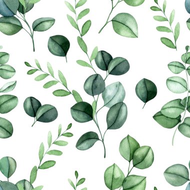 Okaliptüs geriye pürüzsüz bir kalıp bırakır. suluboya yeşil yapraklar resimleme