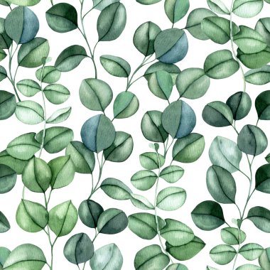 Okaliptüs geriye pürüzsüz bir kalıp bırakır. suluboya yeşil yapraklar resimleme