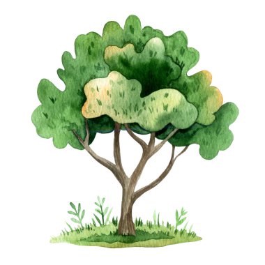 Çayırdaki bir ağaç. Güzel karikatür çizimi. Çocuk kitabı için suluboya