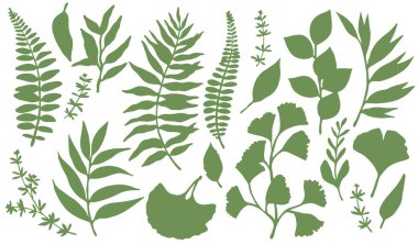 Yeşil tropikal orman yaprakları. Vektör çizimi. Tropik yapraklar siluetler