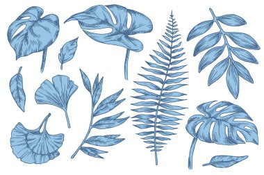 Mavi tropikal orman yaprakları seti. Robot resim biçiminde vektör illüstrasyonu.