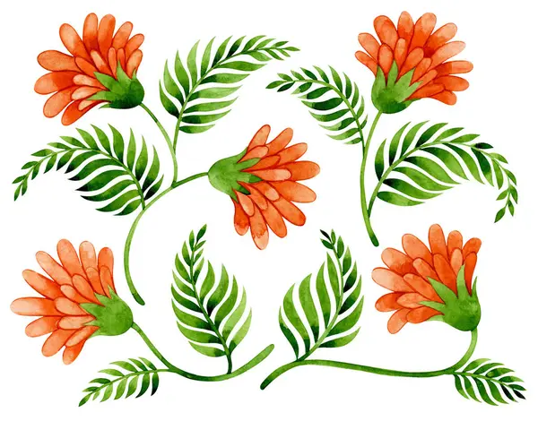 Soyut çiçek süsü seti. suluboya resimleme