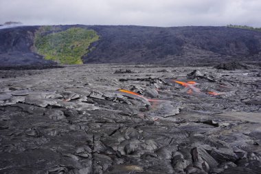 Büyük ada, Kilauea volkanı, Hawaii 'deki eski lav tarlasında aktif lav akışı var.