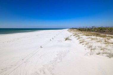 Beyaz kumların güzelliğinin zümrüt suların karşı konulmaz cazibesiyle buluştuğu St. Joe Eyalet Parkı 'nda doğanın mücevherini keşfediyorum. Hislerini tatmin etmek için bekleyen bir sahil cenneti.