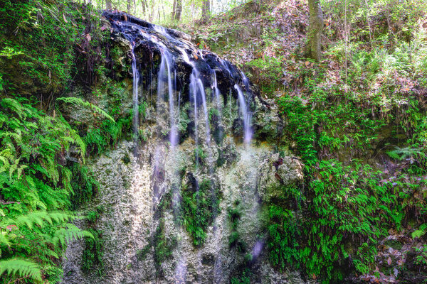 "Nature's Cascade: Behold the majestic waterfall at Falling Waters State Park, a breathtaking display of the earth's raw power and beauty."
