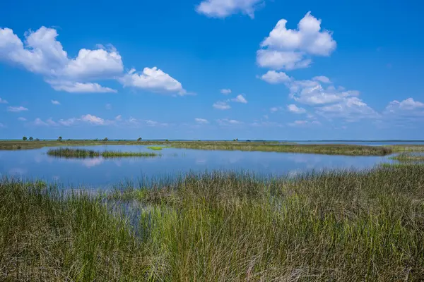 St. Marks Vahşi Yaşam Sığınağı kuş izleme, vahşi yaşam gözlemi ve doğa fotoğrafçılığı için bir sığınaktır. Ziyaretçiler timsahları, dalış yapan kuşları, yırtıcıları, kara ayıları, vaşakları, su samurlarını ve çeşitli balık türlerini tespit edebilirler..