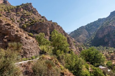Niguelas Köyü, Granada Eyaleti, İspanya
