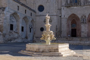 Burgos 'un kuzeyindeki katedralin dışında çeşme var.