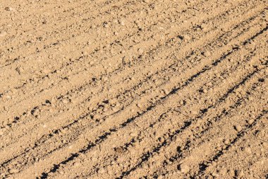 Topraktaki tekerlek izleri, bir traktör rayının yakın çekimi.