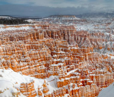 Bryce Canyon Ulusal Parkı, Utah 'taki Serserilerin arasına taze kar yağdı.