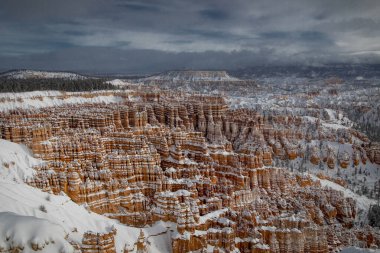 Bryce Canyon Ulusal Parkı, Utah 'taki Serserilerin arasına taze kar yağdı.