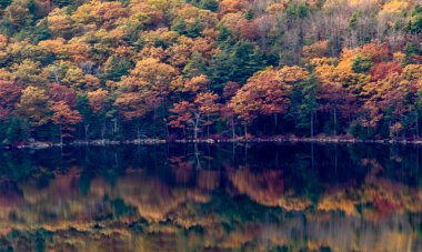 Glen Canyon Ulusal Dinlenme Bölgesi 'nde alışılmadık kayalar.