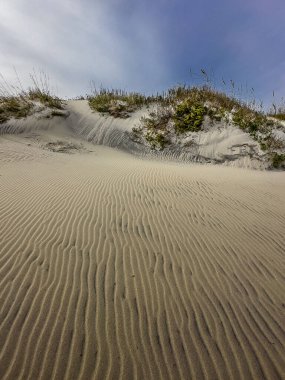 Cape Hatteras Ulusal Deniz Kıyısındaki Kum tepelerinde dalgalar, Kuzey Carolina