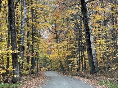 Sonbahar renkleri New Hampshire kırsalına ulaştı..