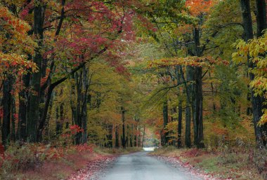 Pennsylvania kırsalına sonbahar renkleri geldi..