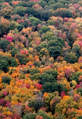 Pennsylvania kırsalına sonbahar renkleri geldi.