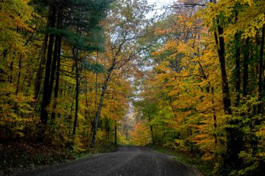 Kırsal Vermont 'a sonbahar renkleri geldi.