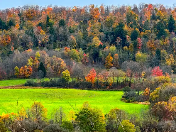 New York kırsalına sonbahar renkleri geldi.
